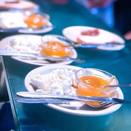 Bed & Breakfast Abrigo Da Estrela Covilhã