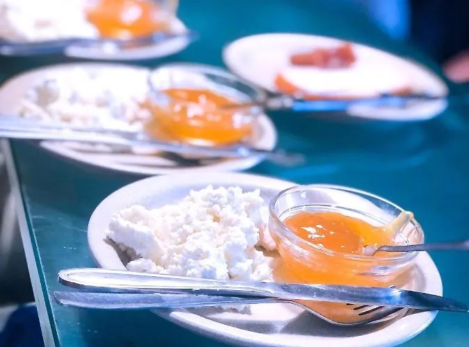 Bed & Breakfast Abrigo Da Estrela Covilhã